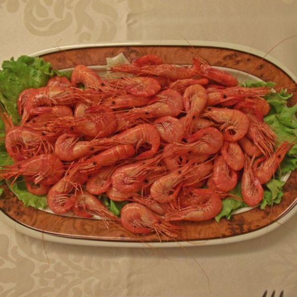 camarones camarones