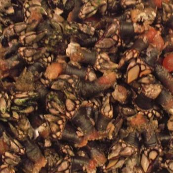 percebes percebes