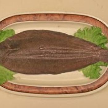 lenguado lenguado